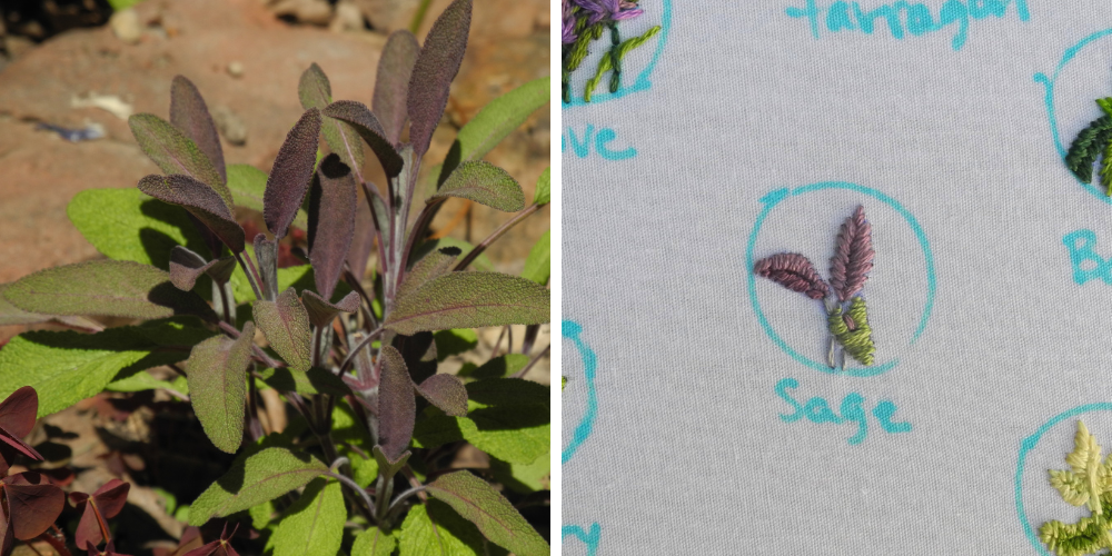 left hand image shows a spray of save leaves ranging in colors from deep purple to bright green with a fuzzy texture. Right hand image shows three embroidered sage leaves, two purple and one green. 