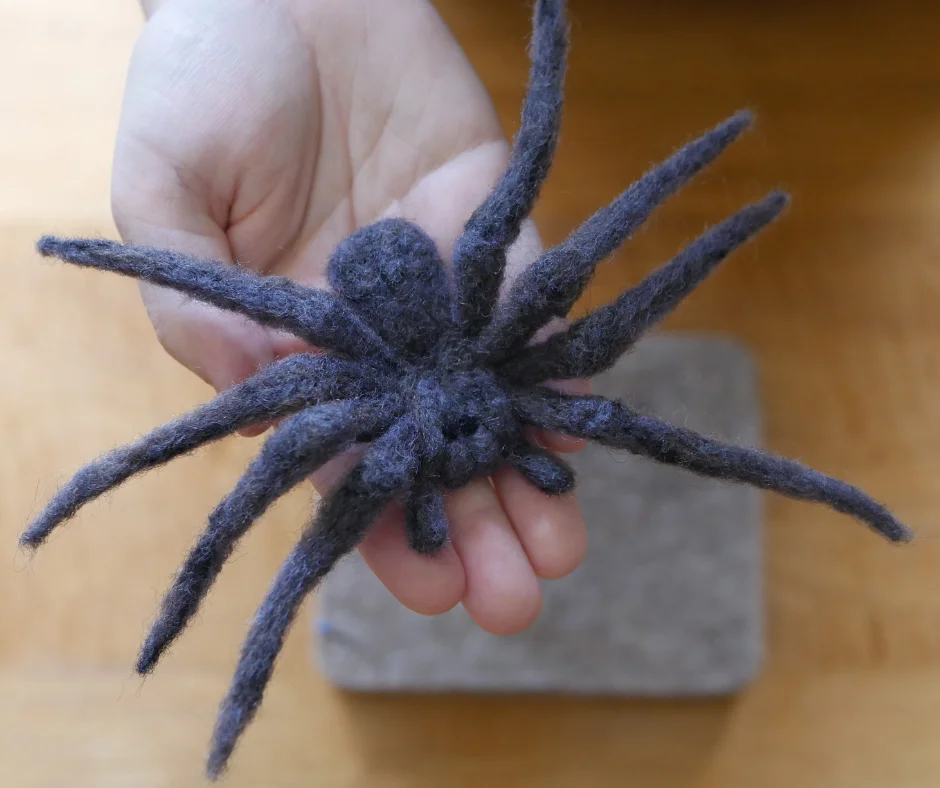 a white hand holding a grey wool spider. 